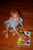 2010-07-29